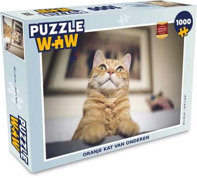 Puzzel Kat - Bank - Oranje - Legpuzzel - Puzzel 1000 stukjes volwassenen