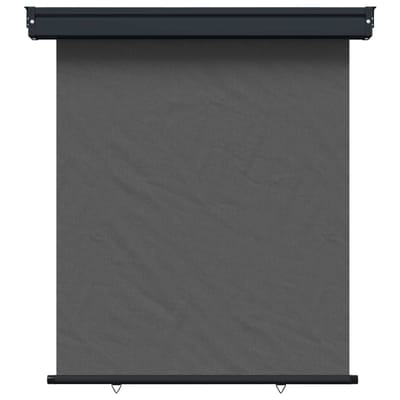 vidaXL Zijscherm Balkon 117 x 250 cm 100% polyester ijzer staal