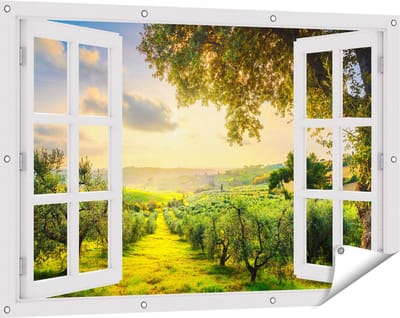 Gards Tuinposter Doorkijk Olijvenbomen - Olijvengaard - 120x80 cm - Tuindoek - Tuindecoratie - Wanddecoratie buiten - Tuinschilderij