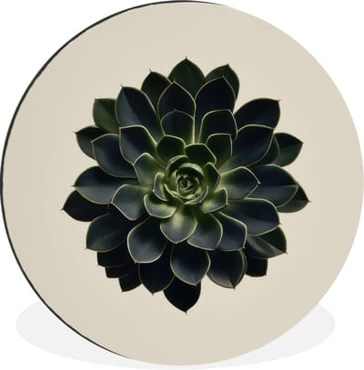 WallCircle - Wandcirkel - Muurcirkel - Rozet - Cirkelvormig - Donkergroen - Aluminium - Dibond - 30x30 cm - Binnen en Buiten