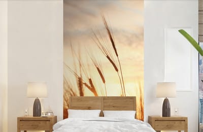Behang - Fotobehang Riet - Gras - Zonsondergang - Natuur - Horizon - Breedte 120 cm x hoogte 240 cm