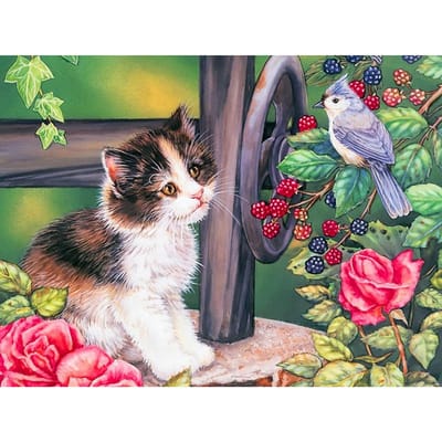 5D Doe-het-zelf Diamant Borduurwerk Katten met Vogels Diamant Schilderij Kruissteek Strass Huisdecoratie 20X30CM black
