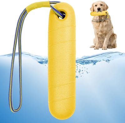 waterhondenspeelgoed, 22 cm zwemspeelgoed voor honden, interactief hondenspeelgoed, drijvend hondenspeelgoed met nylon touw voor middelgrote en grote honden, trainen en apporteren in