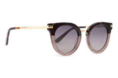 Jackie L Nice ZO-0262A bruin acetaat - bruin dégradé polarised TAC – UV 400