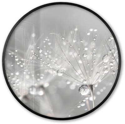 Poster in lijst Rond - Fotolijst 60x60 cm - Posters - Paardenbloem - Waterdruppels - Stilleven - Modern - Ronde posterlijst zwart - Decoratie - Wanddecoratie woonkamer - Muurdecoratie slaapkamer