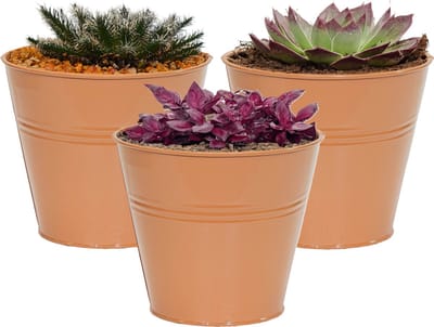 Mega Collections plantenpot/bloempot Bob - 3x - zink - terra - D11 X H10 cm