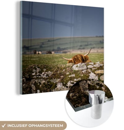 MuchoWow® Glasschilderij 90x90 cm - Schilderij acrylglas - Schotse Hooglander - Stenen - Gras - Foto op glas - Schilderijen