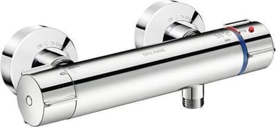 Delabie Securitherm Biosafe Thermostatische Douchemengkraan S/C-Kop