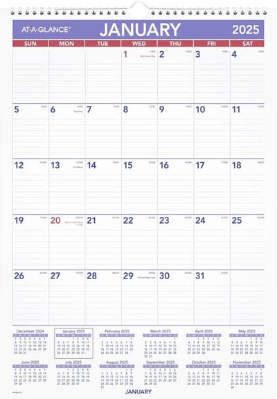 AT-A-GLANCE 2025 Uitwisbare kalender, droog uitwisbare muurplanner, 30,5 cm x 43,2 cm, klein (PMLM022825)