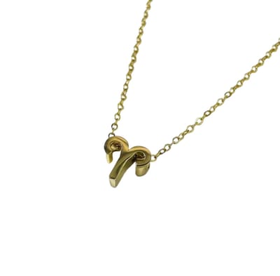 Plux Fashion Ram Ketting - Goud - 2mm/40cm + 5cm Verlengstuk - Sieraden - Sterrenbeeld Ketting - Ram Sterrenbeeld - Stainless Titanium Steel - Sieraden Cadeau - Aries Necklace - Gouden Ketting Dames - Ketting Met Hanger - Roestvrijstaal