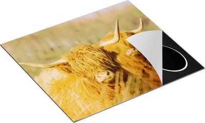 Chefcare Inductie Beschermer Twee Schotse Hooglanders in de Zon - 60x50 cm - Afdekplaat Inductie - Kookplaat Beschermer - Inductie Mat