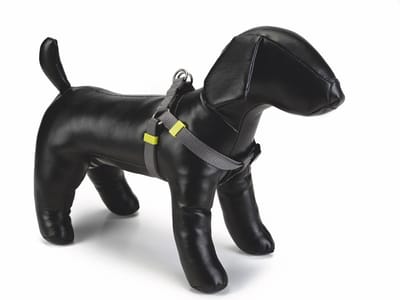Beeztees nylon borsttuig uni grijs 46-75 cm x 20 mm