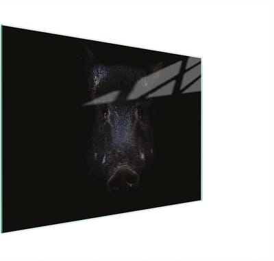 Glazen snijplank - Kookplaat afdekplaat - Keukenwerkblad bescherming - Gehard glas - 30 x 22 cm - Zwart