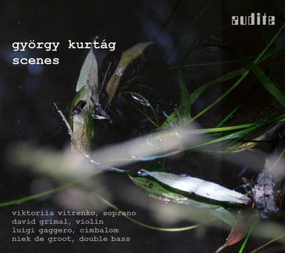 Viktoriia Vitrenko, David Grimal, Luigi Gagger - Scenes (CD)