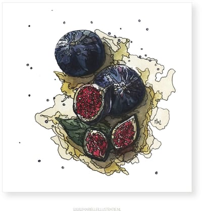 Vijgen wenskaart 12,5x12,5cm, illustratie aquarel en zwarte inkt