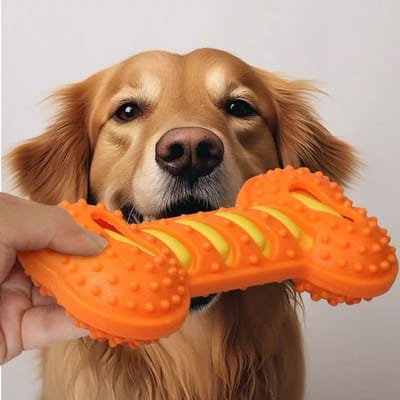 Honden Knaagspeelgoed voor agressieve kauwers, Duurzaam Rubberen Bot Tandenkrijg Speelgoed met Pieper, Interactieve Puppy Kauwstick voor Kleine Middelgrote Grote Honden pack-3 oranje