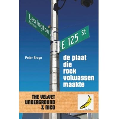 De Plaat Die Rock Volwassen Maakte - Peter Bruyn