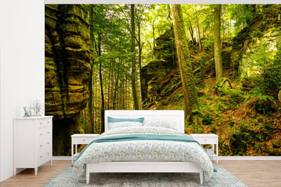 Behang - Fotobehang Bomen - Steen - Bos - Natuur - Planten - Breedte 375 cm x hoogte 240 cm