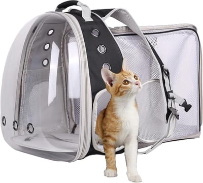 Huisdierrugzak met Bubble Venster - Kattenrugzak Transparant - Reizen met Huisdier - Uitbreidbaar Achterpaneel - Tot 5.9 kg - Zwart