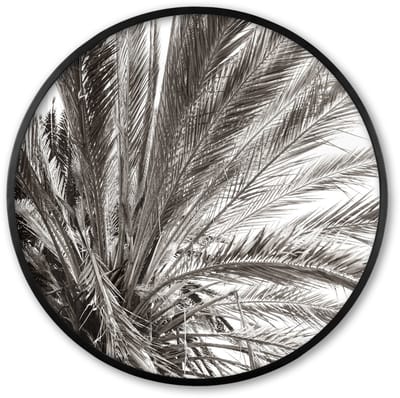 Poster in lijst Rond - Fotolijst 60x60 cm - Posters - Palmboom - Tropisch - Zwart - Wit - Ronde posterlijst zwart - Decoratie - Wanddecoratie woonkamer - Muurdecoratie slaapkamer