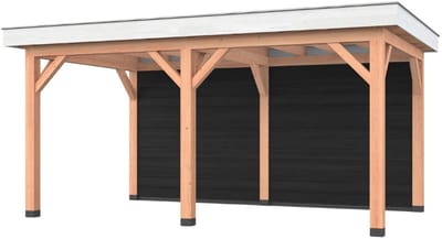 Douglas overkapping, 500 x 300, met achterwand, Westwood Holland Basic