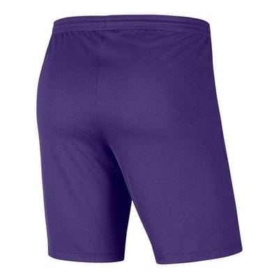 Nike Heren Dry Park III Korte Broek (Violet)