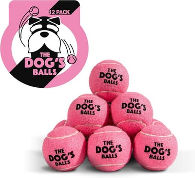 Hondenspeelballen - Apportballen - Buitenspelen - Niet-giftig materiaal - 12-pack - Roze