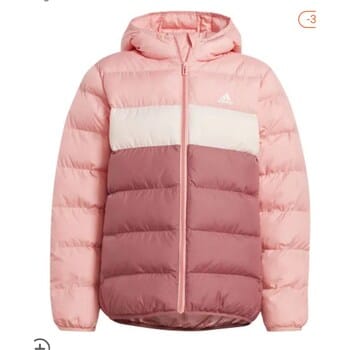 Windjack adidas IY6916