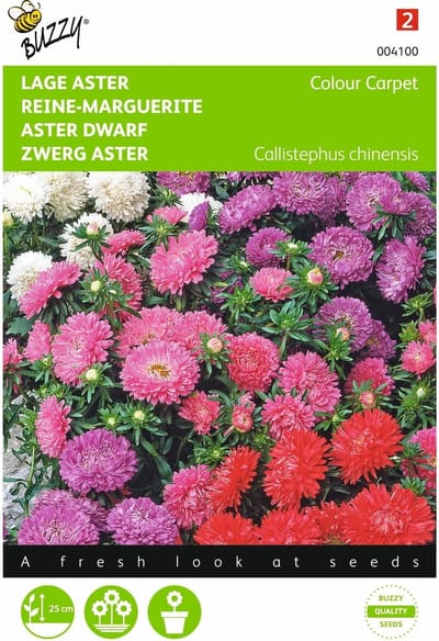 2 stuks Callistephus, Lage Aster Colour Carpet