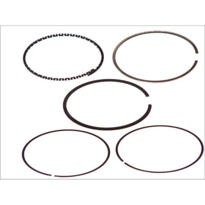 Goetze Engine Zuigerveren set GOETZE 08-102500-00