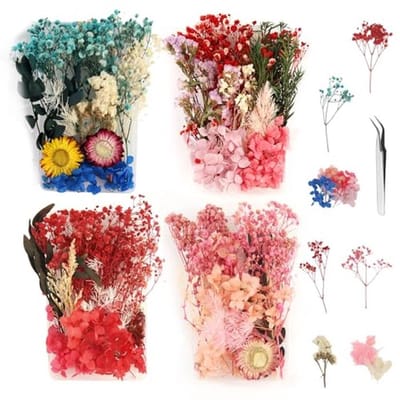 4 dozen natuurlijke gedroogde bloemen voor creatief knutselen en DIY-projecten