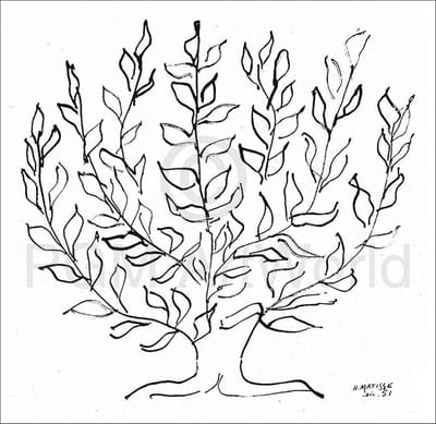 Kunstdruk Henri Matisse - Le platane 100x100cm