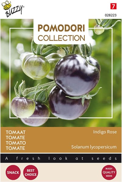 Buzzy Pomodori Tomaat Indigo rose (zwart)