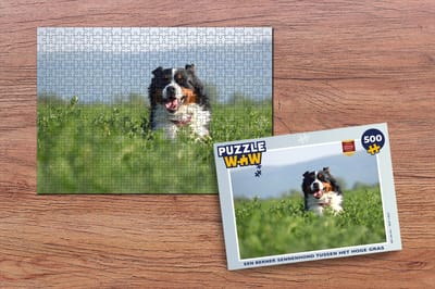 Puzzel Een Berner Sennenhond tussen het hoge gras - Legpuzzel - Puzzel 500 stukjes