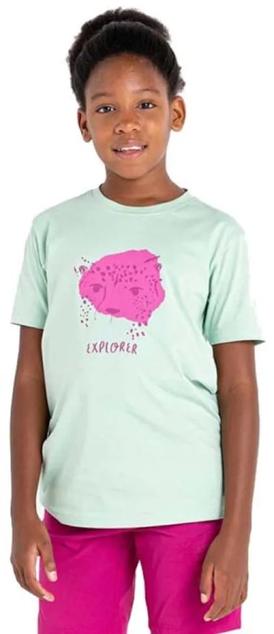 Dare2b Trailblazer T-shirt Met Korte Mouwen Groen 9-10 Years Jongen