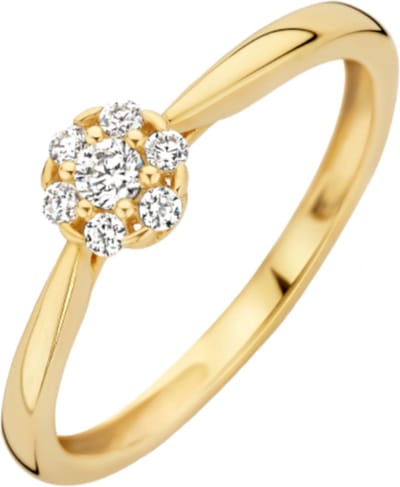 Blush Dames Ring Goud - Goud - 16.50 mm / maat 52