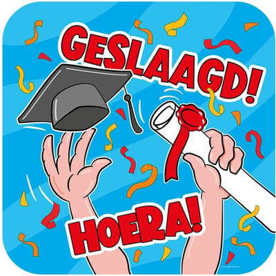 Geslaagd thema party huldebord - karton - 50 x 50 cm - feestartikelen/versiering - raam/muur