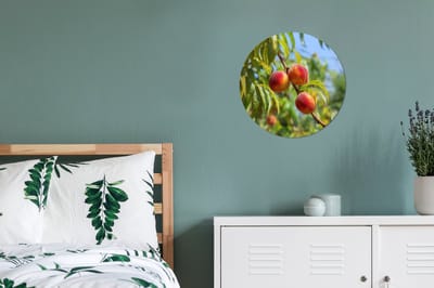 WallCircle - Wandcirkel - Muurcirkel - Perzik - Bladeren - Zonlicht - Aluminium - Dibond - 30x30 cm - Binnen en Buiten