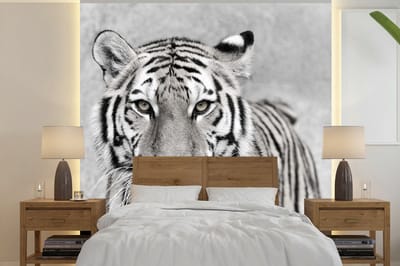 Behang - Fotobehang Tijger - Natuur - Zwart - Wit - Breedte 220 cm x hoogte 220 cm