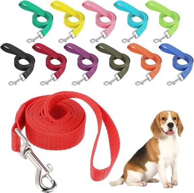 Verstelbare Hondenriem van 1,5 meter - Duurzame en Veelzijdige Leash voor Middelgrote en Kleine Honden - Veiligheid en Comfort voor Jouw Huisdier tijdens Wandelen en Trainen