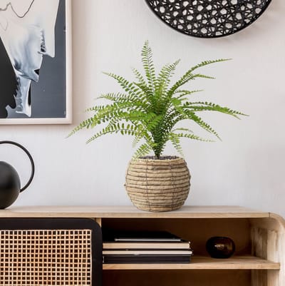Asplenium Varen kunstplant 45cm