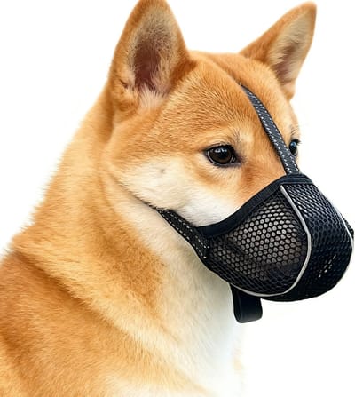 Zachte Netten Muilkorf voor Honden van Kleine tot Grote Rassen, Voorkomt Bijten, Likken en Kauwen, Ademend en Reflecterend (M, Zwart)