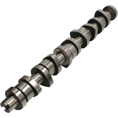 Nokkenas  AE CAM916