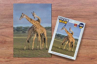 Puzzel Twee giraffen tegen een achtergrond met wolken - Legpuzzel - Puzzel 1000 stukjes volwassenen