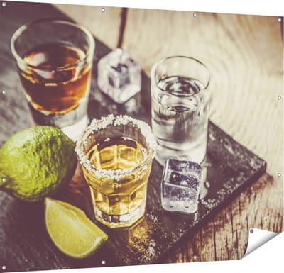 Gards Tuinposter Alcoholische Drankjes - Drank - 150x120 cm - Tuindoek - Tuindecoratie - Wanddecoratie buiten - Tuinschilderij