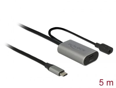 Delock Active USB 3.1 Gen 1 extension cable USB Type-C™ 5 m