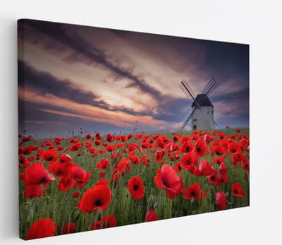 Saammp Canvas Schilderij - Klaprozen met molen - Bloemen - Landschap - Natuur - 45x30 - Foto op canvas - Wanddecoratie - Muurdecoratie Woonkamer - Slaapkamer decoratie - Canvas Print