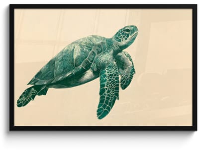 Poster in lijst - Fotolijst 90x60 cm - Posters - Schildpad - Sierlijk - Groen - Schild - Posterlijst zwart - Decoratie - Wanddecoratie woonkamer - Muurdecoratie slaapkamer