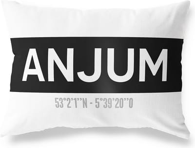Tuinkussen ANJUM - FRIESLAND met coördinaten - Buitenkussen - Bootkussen - Weerbestendig - Jouw Plaats - Studio216 - Modern - Zwart-Wit - 50x30cm