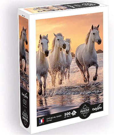 XL Puzzel - Legpuzzel Volwassenen - Ontspanning Thuis - Soft Touch Oppervlak - 500 Stukjes - Meerkleurig